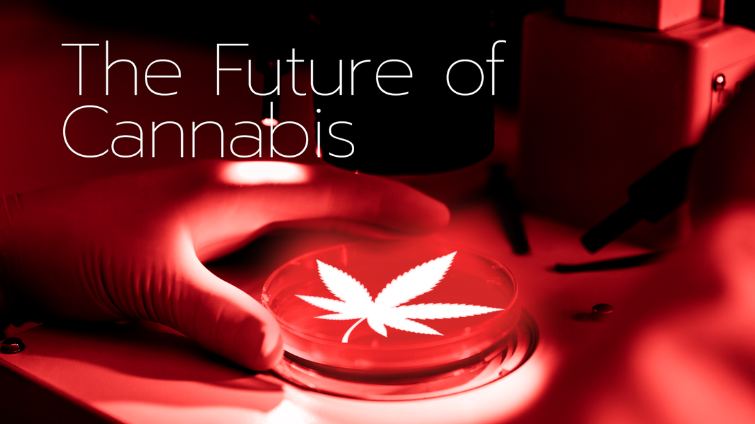 Cannabis Pairings: Exploring Combinations with Food, Drinks, and Activities