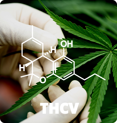 THCV (Tetrahydrocannabivarin):