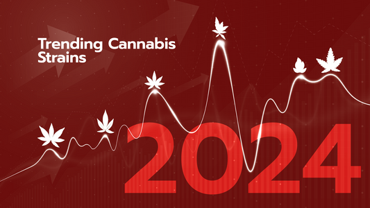 Trending Cannabis Strains for 2024