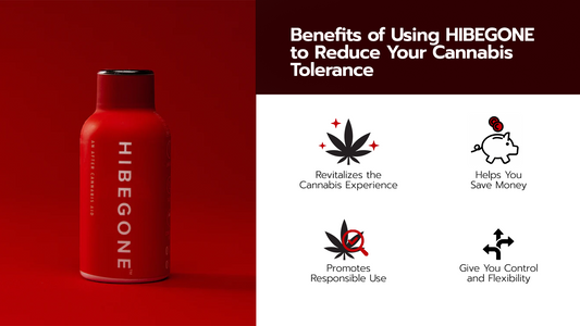 The Negative Effects of a High Cannabis Tolerance