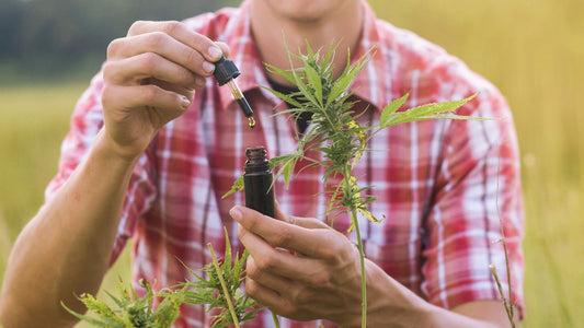A man in a plaid shirt holds a tincture and dropper next to a hemp plant outside. 