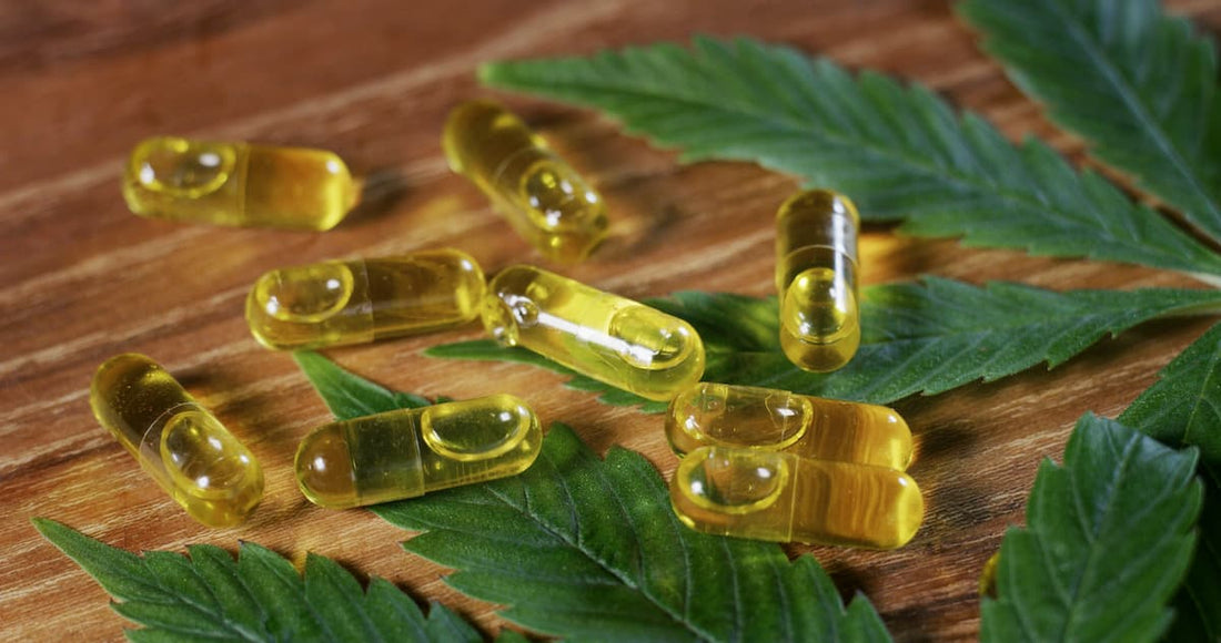 THC Pills : What are They and How are They Used?