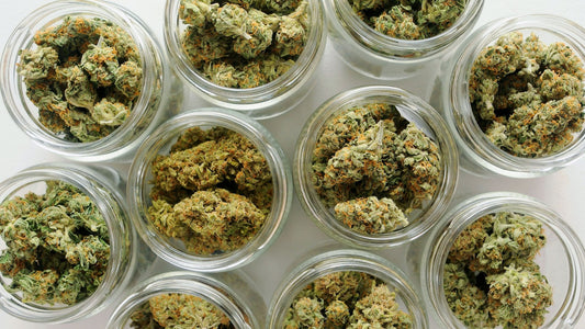 How to Properly Store Your Cannabis Products