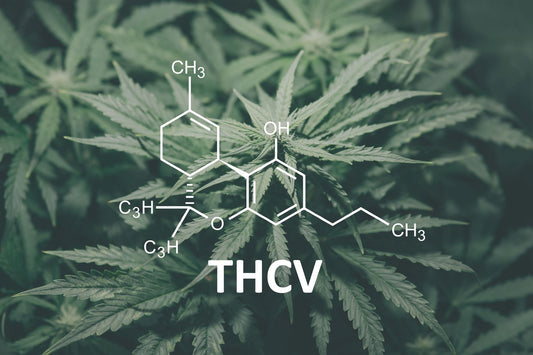 A picture of the molecular map of THCV in front of a hemp plant.