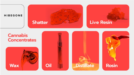 What Are Cannabis Concentrates and Their Various Forms of Consumption?