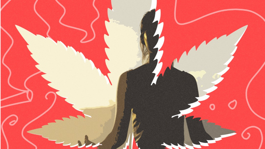 How to Choose the Best Strain for Your Anxiety