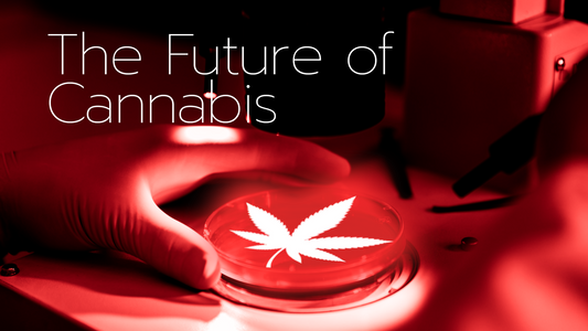 Cannabis Pairings: Exploring Combinations with Food, Drinks, and Activities