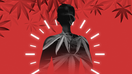 How Long Does Marijuana Stay in Your System?