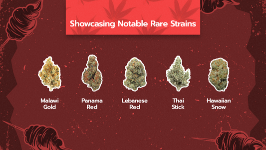 The Elite Collection: A Guide to Exotic and Rare Cannabis Strains
