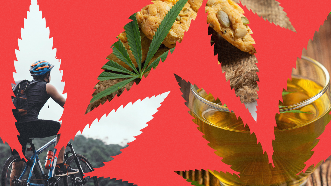 The Future of Cannabis: Innovations and Trends Shaping the Industry