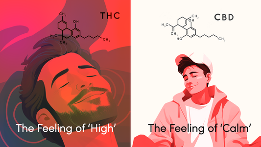 Why Edibles Can Feel More Potent