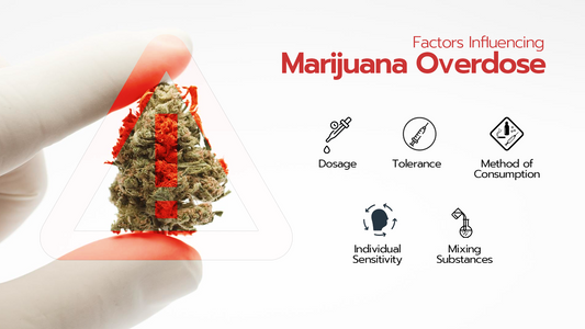Can You Overdose on Marijuana? - The Facts