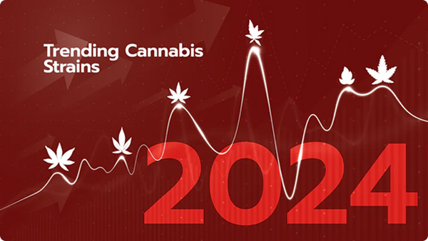 Trending Cannabis Strains For 2024